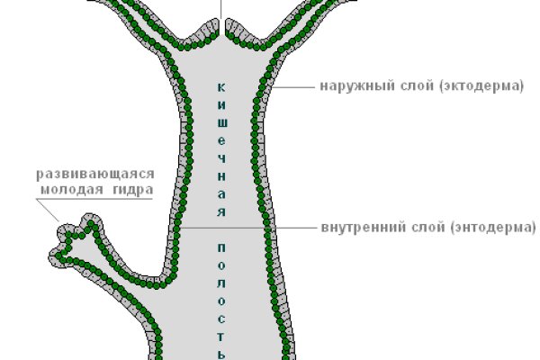 Что такое кракен 2024 маркетплейс