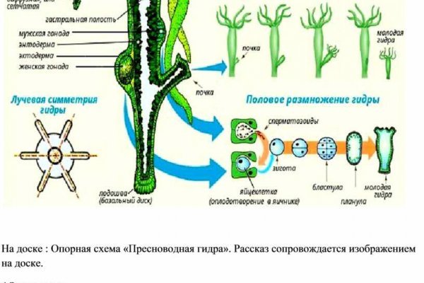 Кракен сайт 17at
