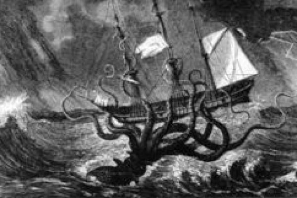 Kraken dark market